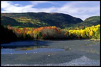 Otter Cove at low tide looking at Cadillac Mountain and Dorr Mountain. Acadia National Park, Maine, USA.