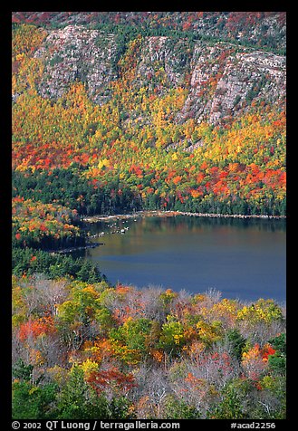 Eagle Lake, surrounded by hillsides covered with colorful trees in fall. Acadia National Park, Maine, USA.