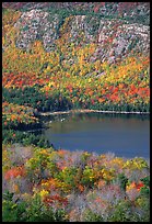 Eagle Lake, surrounded by hillsides covered with colorful trees in fall. Acadia National Park, Maine, USA.