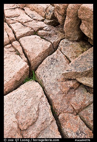 Pink granite slab with cracks. Acadia National Park, Maine, USA.