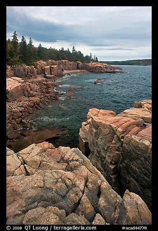 Rocky coastline near Thunder Hole. Acadia National Park, Maine, USA.