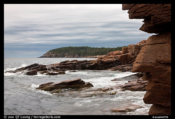 Granite seacliffs near Thunder Hole, highest on Atlantic Coast. Acadia National Park, Maine, USA.