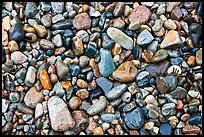 Wet pebbles, Hunters beach. Acadia National Park, Maine, USA. (color)