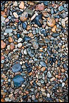 Pebbles of various sizes and colors. Acadia National Park ( color)
