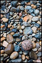 Close-up of multicolored pebbles. Acadia National Park ( color)