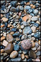 Close-up of multicolored pebbles. Acadia National Park, Maine, USA. (color)