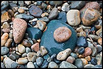 Colorful pebbles shining in the rain. Acadia National Park, Maine, USA.