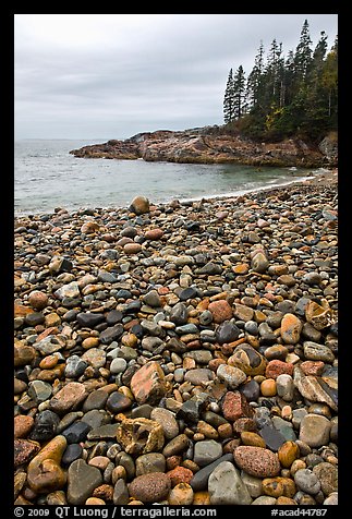 Pebbles and cove, Hunters beach. Acadia National Park (color)