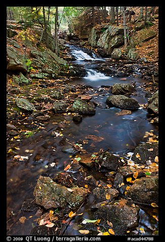 Stream in autumn. Acadia National Park (color)