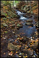 Stream in autumn. Acadia National Park, Maine, USA. (color)