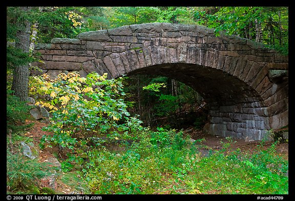 Carriage road bridge. Acadia National Park (color)