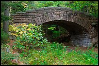 Carriage road bridge. Acadia National Park, Maine, USA. (color)