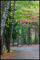 Trail marker signs in the fall. Acadia National Park, Maine, USA.