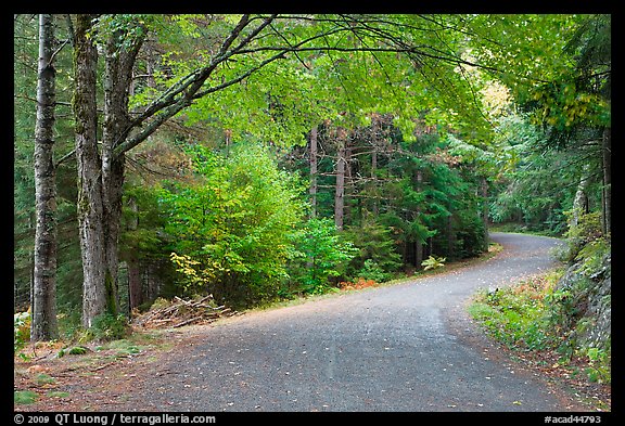 Carriage road. Acadia National Park, Maine, USA.