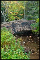 Stone bridge over stream. Acadia National Park, Maine, USA. (color)