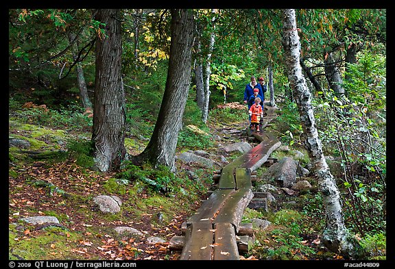 Family hiking on boardwalk. Acadia National Park (color)