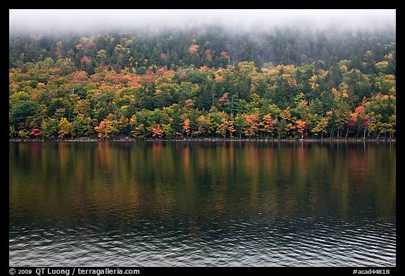 Trees in fall colors reflected in Jordan Pond. Acadia National Park, Maine, USA.