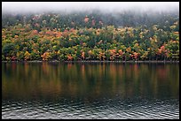Trees in fall colors reflected in Jordan Pond. Acadia National Park ( color)