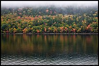 Trees in fall colors reflected in Jordan Pond. Acadia National Park, Maine, USA. (color)