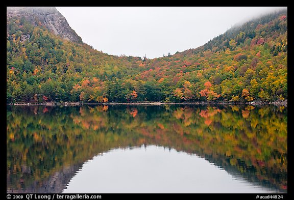 Hill curve and trees in fall foliage reflected in Jordan Pond. Acadia National Park (color)