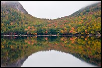 Hill curve and trees in fall foliage reflected in Jordan Pond. Acadia National Park ( color)