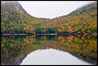 Hill curve and trees in fall foliage reflected in Jordan Pond. Acadia National Park, Maine, USA.