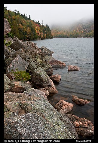 Rocky shore in autumn, Jordan Pond. Acadia National Park (color)