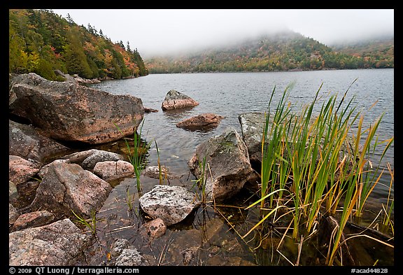 Jordan pond shore in a fall misty day. Acadia National Park, Maine, USA.