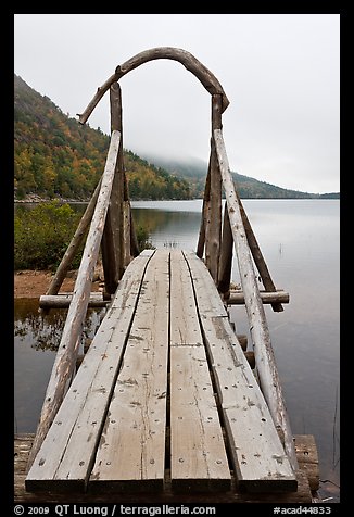 Footbridge and fog in autumn. Acadia National Park (color)