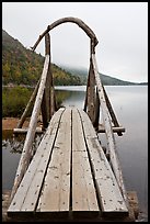 Footbridge and fog in autumn. Acadia National Park ( color)