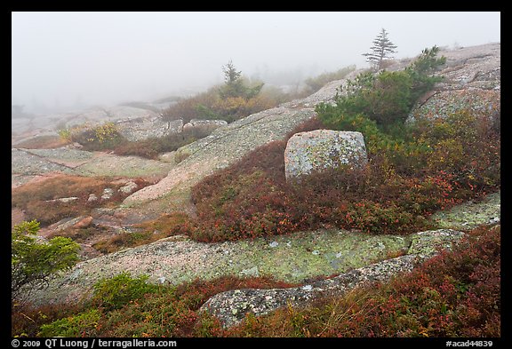 Summit of Cadillac Mountain during heavy fog. Acadia National Park (color)