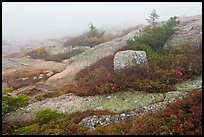 Summit of Cadillac Mountain during heavy fog. Acadia National Park ( color)