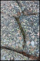 Granite slab with cracks and lichen, Mount Cadillac. Acadia National Park, Maine, USA.