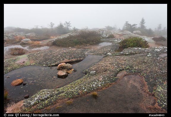 Water-filled holes in granite slabs and fog, Cadillac Mountain. Acadia National Park, Maine, USA.