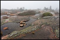 Water-filled holes in granite slabs and fog, Cadillac Mountain. Acadia National Park, Maine, USA.