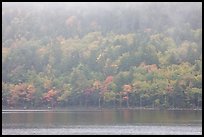 Foggy autumn slopes, Jordan Pond. Acadia National Park, Maine, USA. (color)