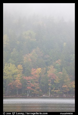 Hillside in fog above Jordan Pond. Acadia National Park (color)