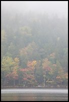 Hillside in fog above Jordan Pond. Acadia National Park, Maine, USA.