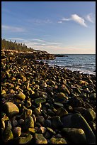 Round bouders, low tide coastline, Schoodic Peninsula. Acadia National Park, Maine, USA.