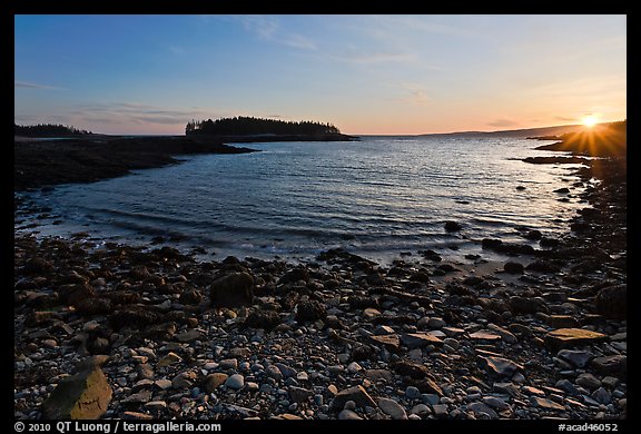 Cove and Pond Island, sunset, Schoodic Peninsula. Acadia National Park, Maine, USA.