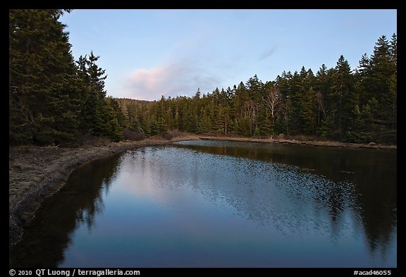 Pond and trees, Schoodic Peninsula. Acadia National Park (color)