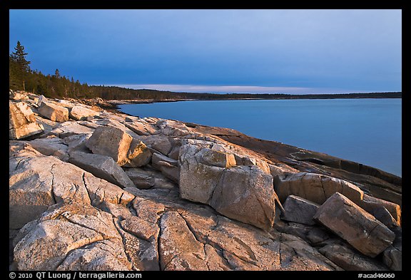 Granite slabs on coast, sunrise, Schoodic Peninsula. Acadia National Park, Maine, USA.