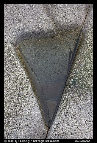 Triangular puddle on rocks, Schoodic Peninsula. Acadia National Park, Maine, USA.