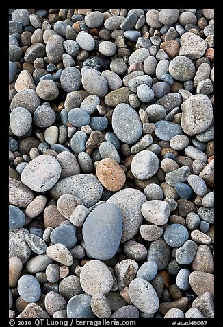 Close-up of smooth pebbles, Schoodic Peninsula. Acadia National Park, Maine, USA.