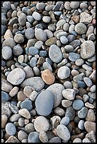 Close-up of smooth pebbles, Schoodic Peninsula. Acadia National Park, Maine, USA. (color)