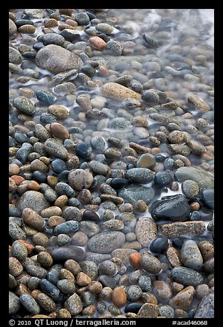 Close-up of pebbles and water, Schoodic Peninsula. Acadia National Park (color)