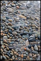 Close-up of pebbles and water, Schoodic Peninsula. Acadia National Park ( color)