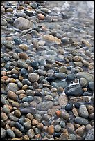 Close-up of pebbles and water, Schoodic Peninsula. Acadia National Park, Maine, USA.