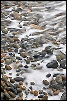 Close-up of pebbles in surf, Schoodic Peninsula. Acadia National Park, Maine, USA. (color)