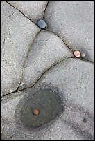 Close-up of pebbles and rock cracks, Schoodic Peninsula. Acadia National Park, Maine, USA.